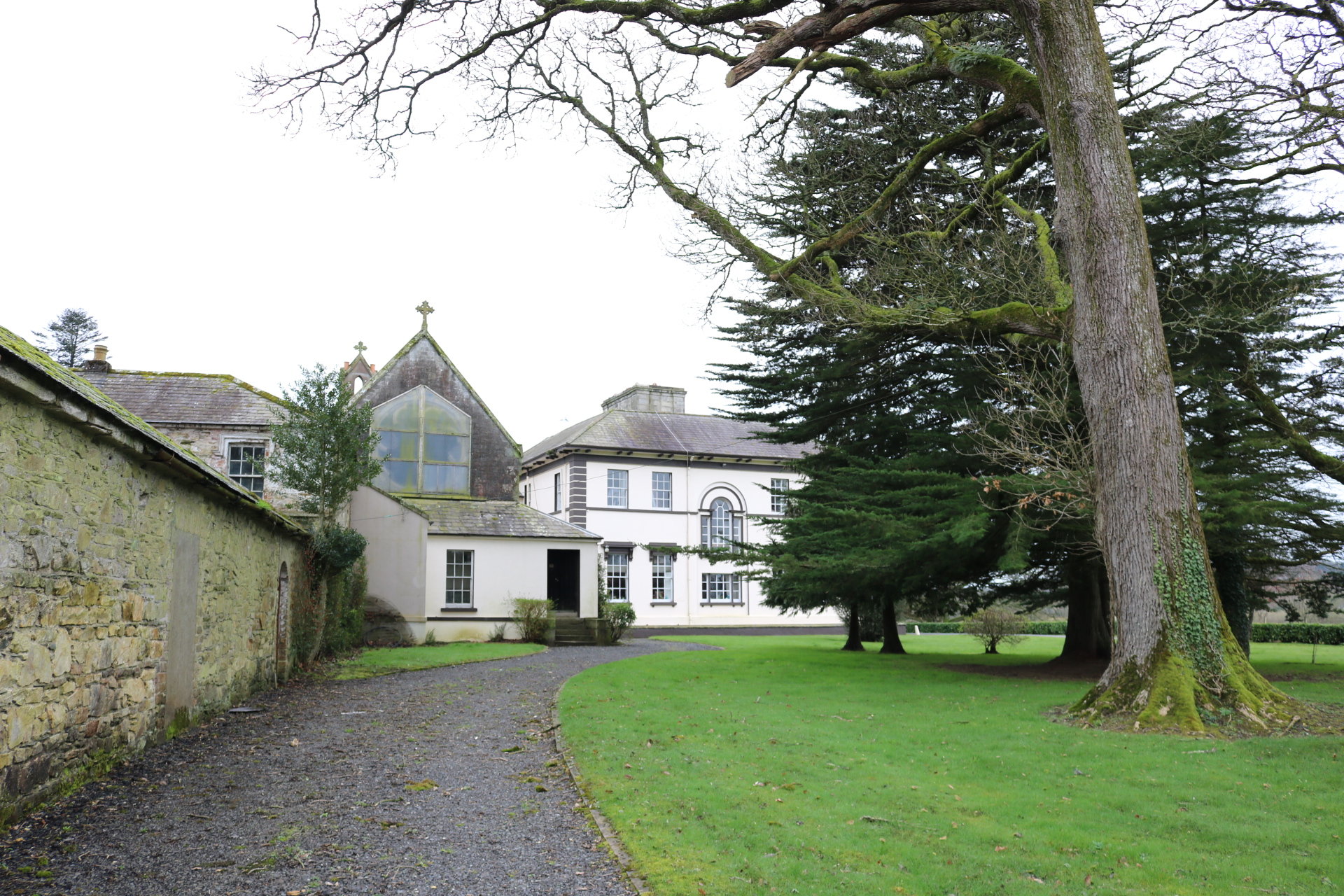 Read more about the article World Whisky Day and Wexford’s distilleries