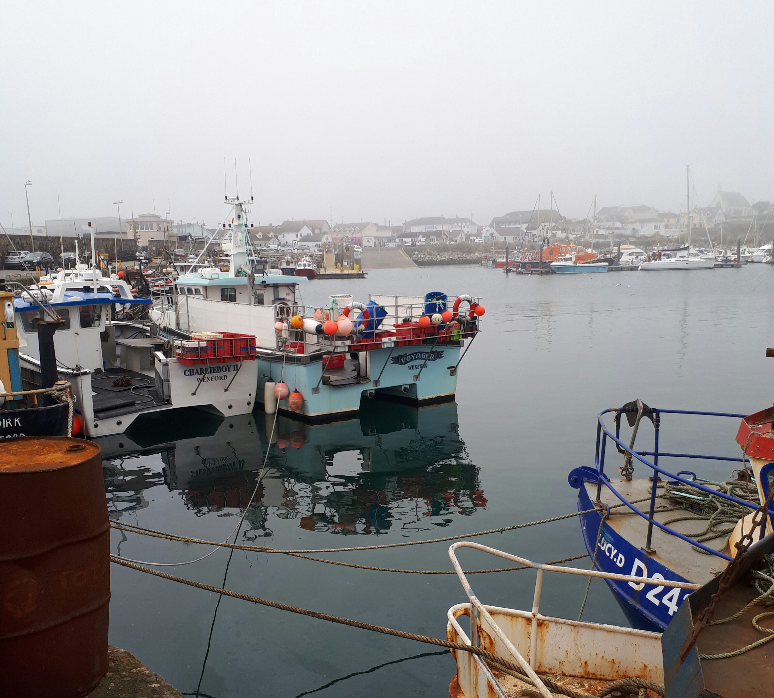 Read more about the article Farmers and fishermen key to environment; Cllr Codd