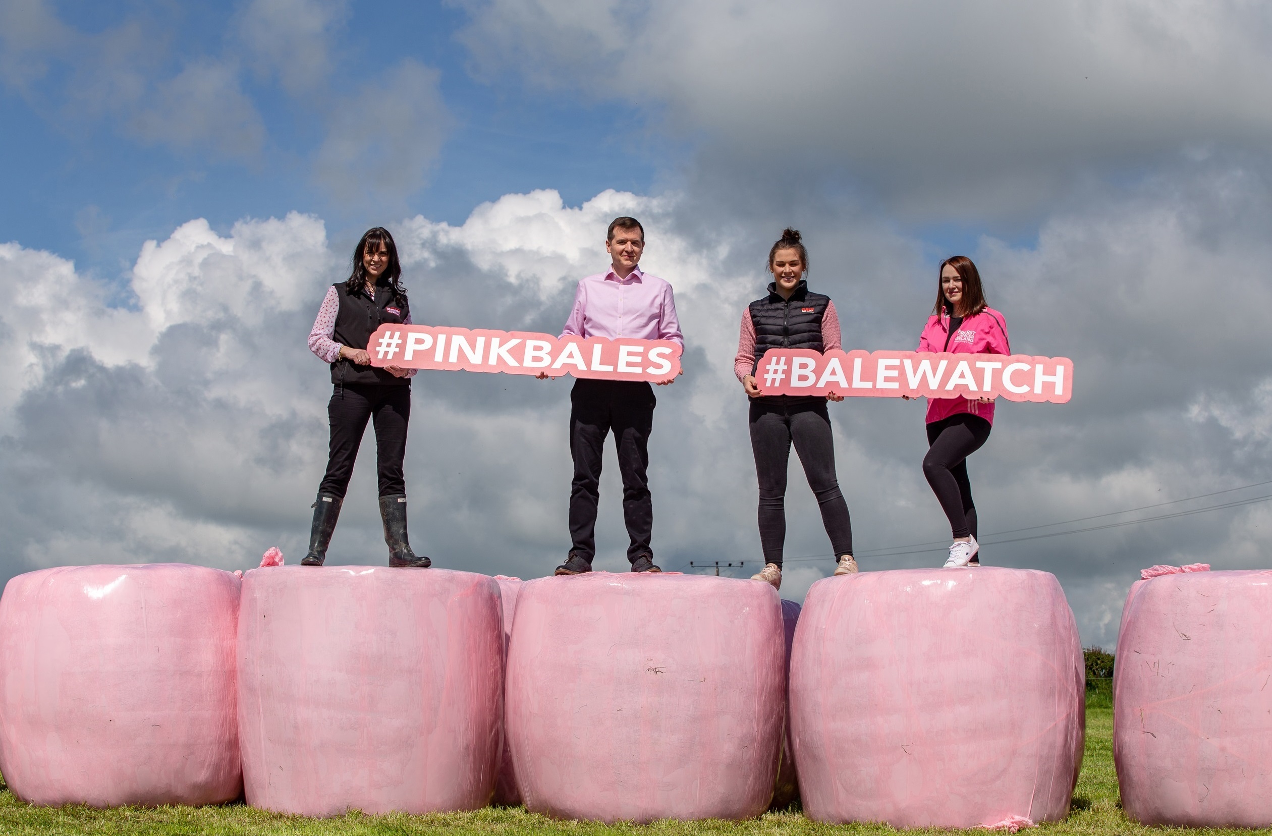Read more about the article Look out for the pink silage wrapped bales!