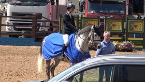 Read more about the article Wexford riders book their Horse Show tickets