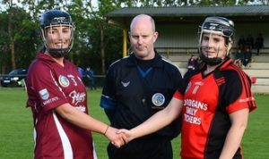 Read more about the article Oulart win league in thrilling finish