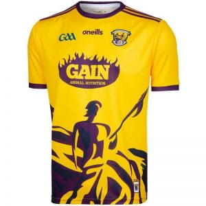 Read more about the article Point earned by Wexford away to Galway