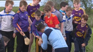 Read more about the article Wexford run out convincing winners over Carlow