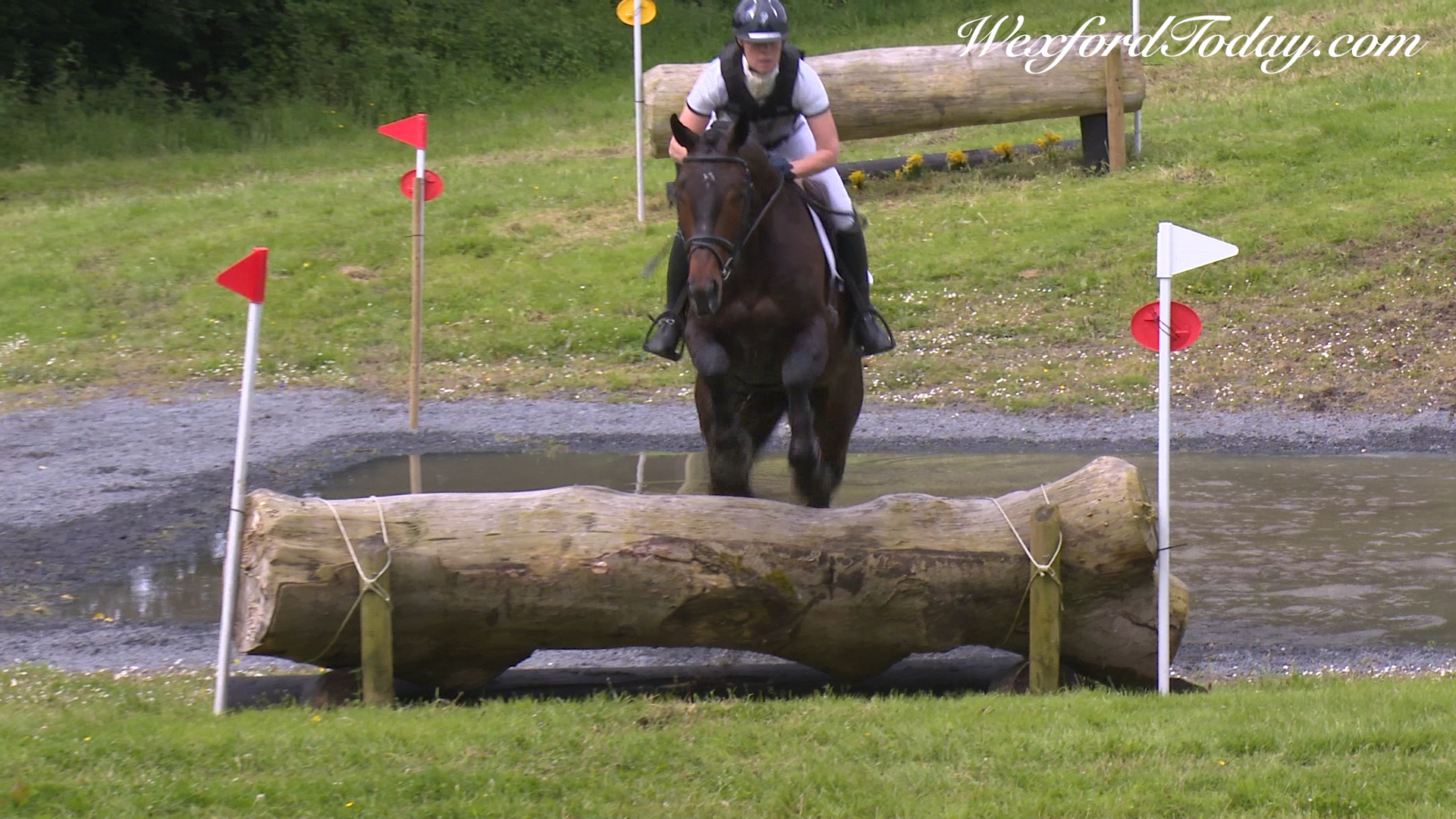 Read more about the article Louise qualifies at Tullylish