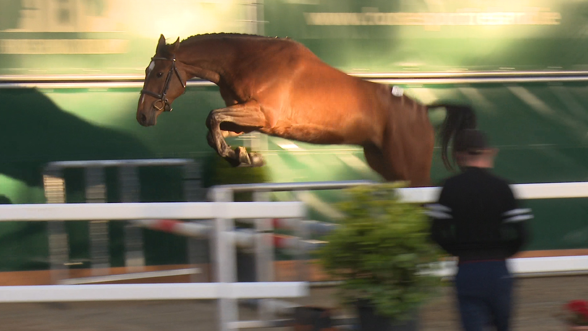 Read more about the article Marti’s “Monbeg Equity” wins at Barnadown