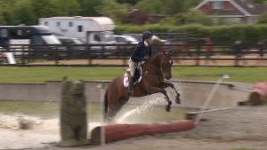 Read more about the article Wexford horses qualify for YES final in Dublin