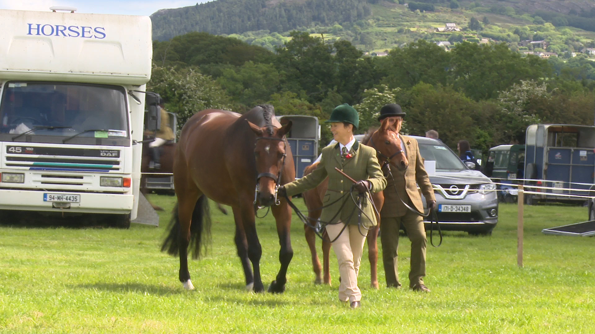 Read more about the article Ballykelly Notalot wins Breeders’ qualifier at Gorey