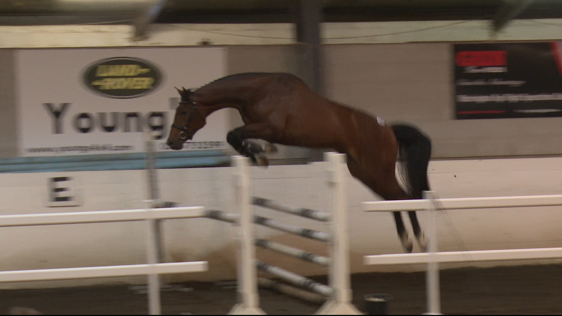 Read more about the article Jason qualifies his eighth horse for Dublin