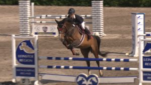 Read more about the article Wexford qualifiers at Mullingar