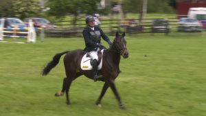 Read more about the article Jason books two Dublin Horse Show tickets