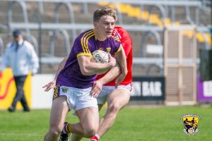 Read more about the article Wexford face Derry in double bill in Innovate Park