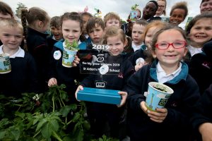 Read more about the article St. Aidan’s Enniscorthy are ‘Big Grow’ champions at Bloom Festival