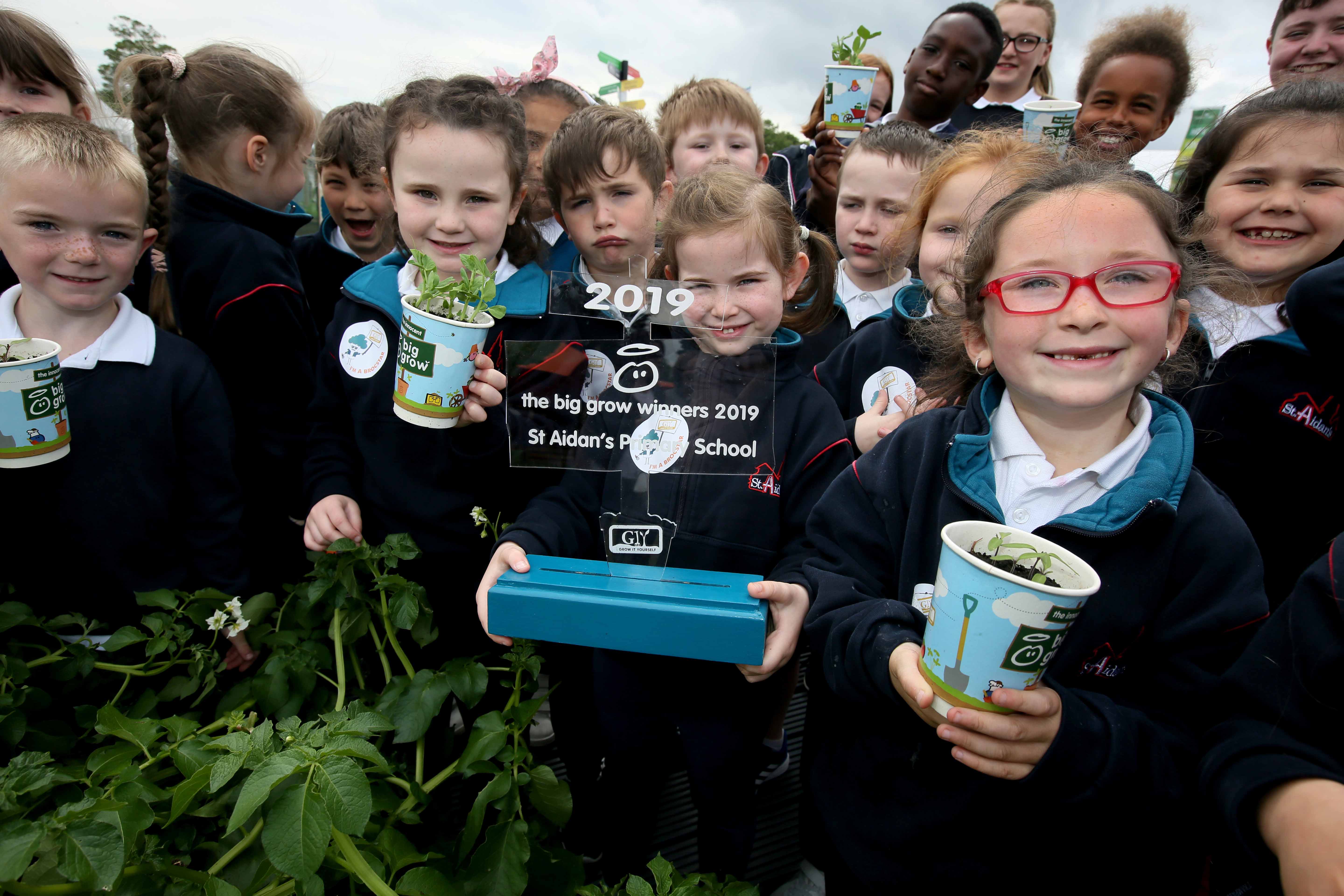 Read more about the article St. Aidan’s Enniscorthy are ‘Big Grow’ champions at Bloom Festival
