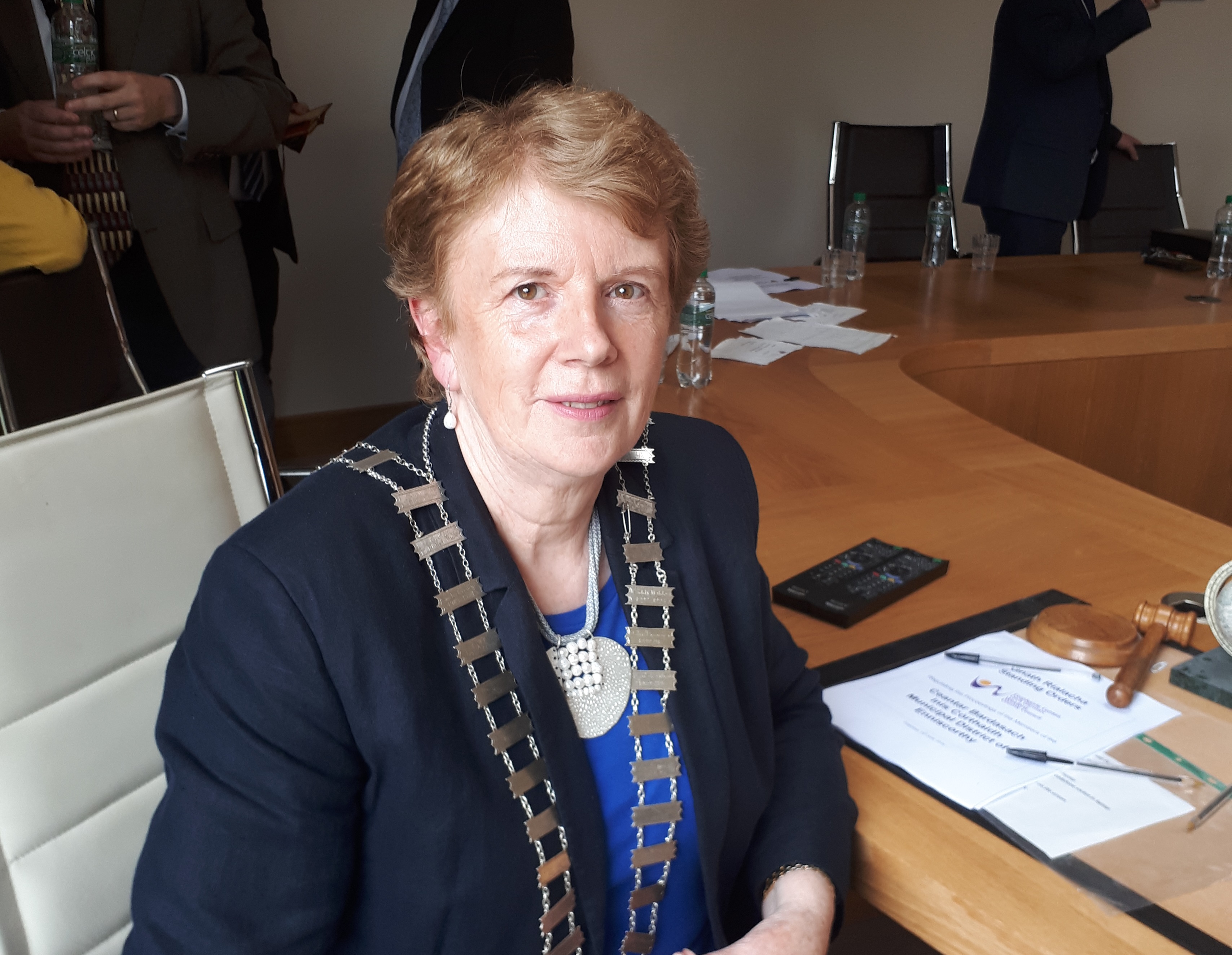 Read more about the article Cllr Codd-Nolan elected Enniscorthy Chair