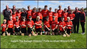 Read more about the article Wexford teams contest Féile na nGael