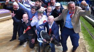 Read more about the article Eamon’s “Ballyanne Sim” bids for English Derby glory