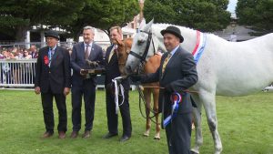 Read more about the article Assagart My Only Hope books her Dublin ticket in Armagh