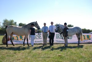 Read more about the article “Young Handler Championship” at Adamstown Show