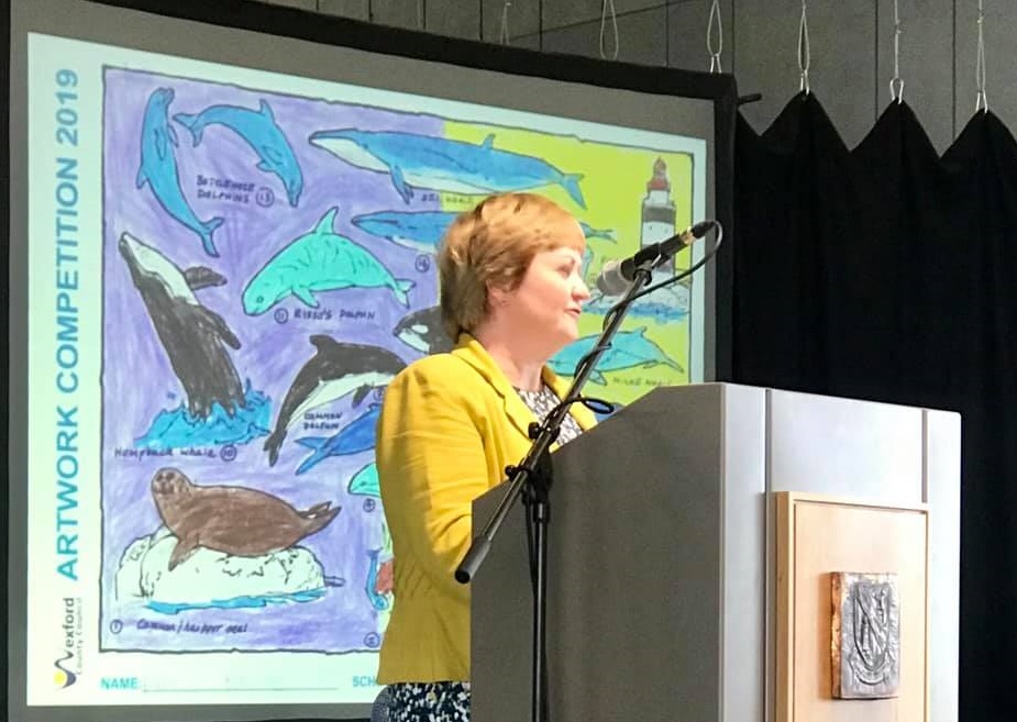 Read more about the article Wexford’s Biodiversity promoted through art