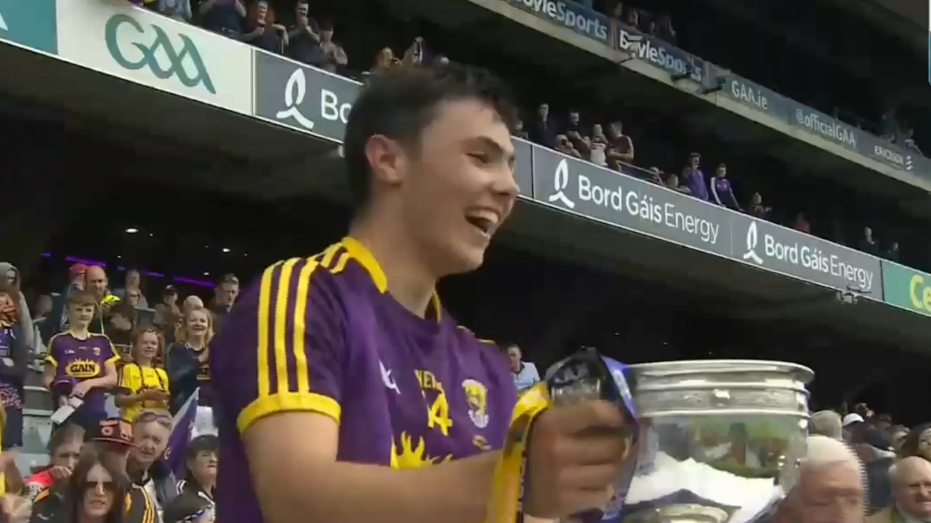 Read more about the article Wexford land first Minor title since 1985