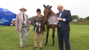 Read more about the article Master Jack Brown runner-up in All-Ireland final