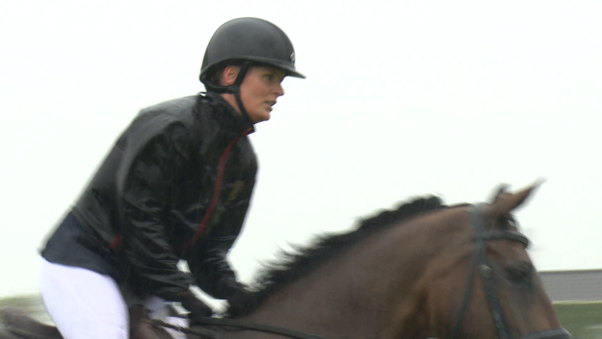 Read more about the article Esib wins New Heights at Tattersalls