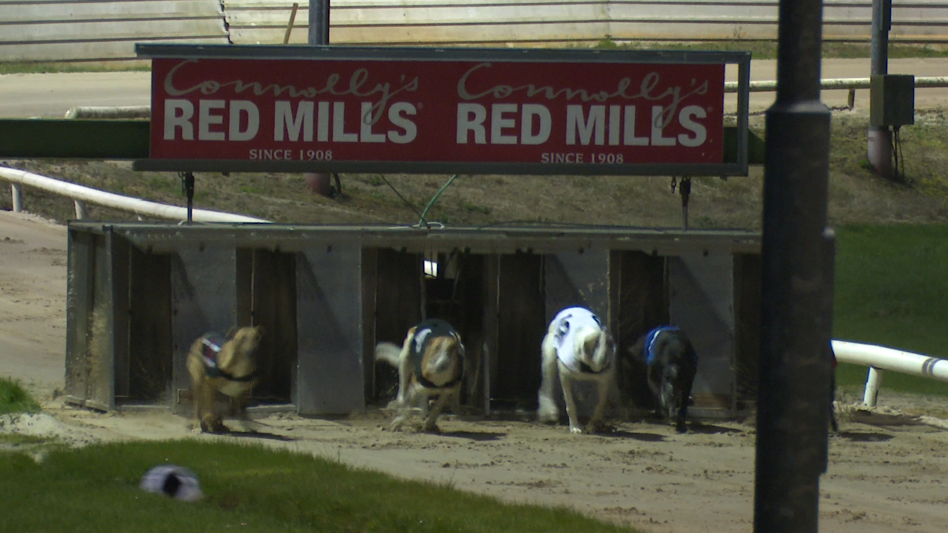 Read more about the article Enniscorthy Greyhound Track loses major sponsor