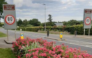 Read more about the article Call for cycling ‘greyway’ along the old N11 road
