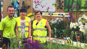 Read more about the article Flowerbeds are bee friendly around Bunclody