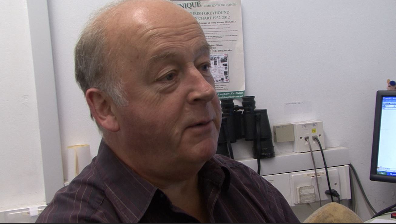 You are currently viewing Tributes paid to RTE sports broadcaster Michael Fortune