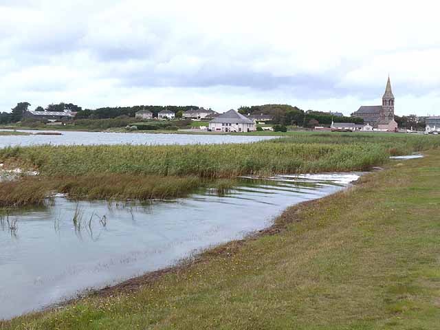 Read more about the article Music and sheep racing at Our Lady’s Island!