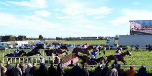 Read more about the article Horses and hurling on the Bettyville Park turf