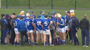 Read more about the article Preview- Glynn-Barntown v Oylegate-Glenbrien