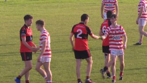 Read more about the article Highlights- Ferns v Bannow-Ballymitty