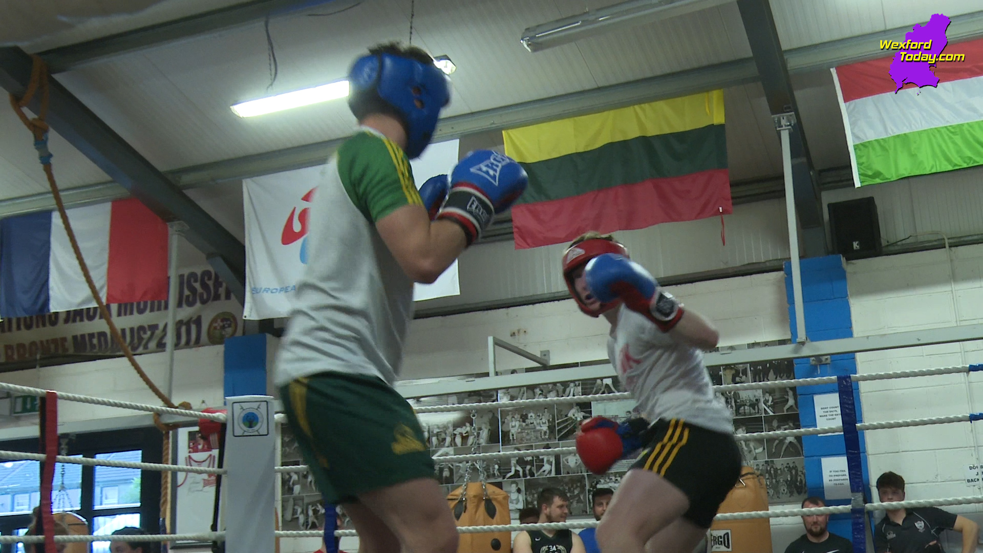 Read more about the article LIVE Boxing – Enniscorthy RFC v Gorey RFC