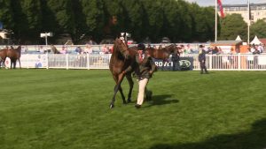 Read more about the article Wexford filly crowned 2yo Champion in Dublin Horse Show