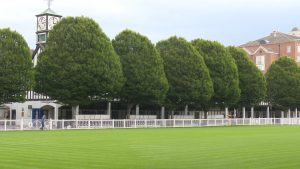 Read more about the article Lots of Wexford interest in the Dublin Horse Show