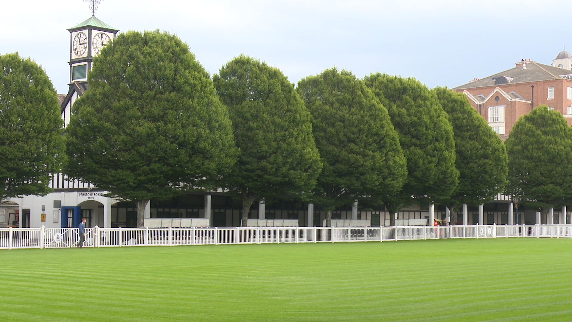 You are currently viewing Lots of Wexford interest in the Dublin Horse Show