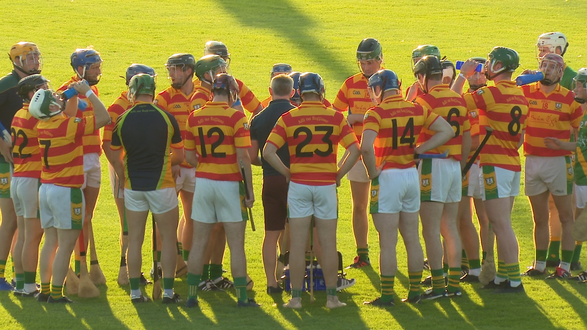 Read more about the article Highlights- Buffers Alley v Rathgarogue-Cushionstown
