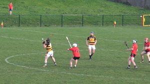 Read more about the article Preview- Rathnure v Shelmaliers