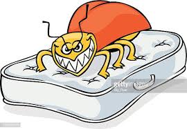 Read more about the article Council comfy with Mattress and Sofa Amnesty 2019