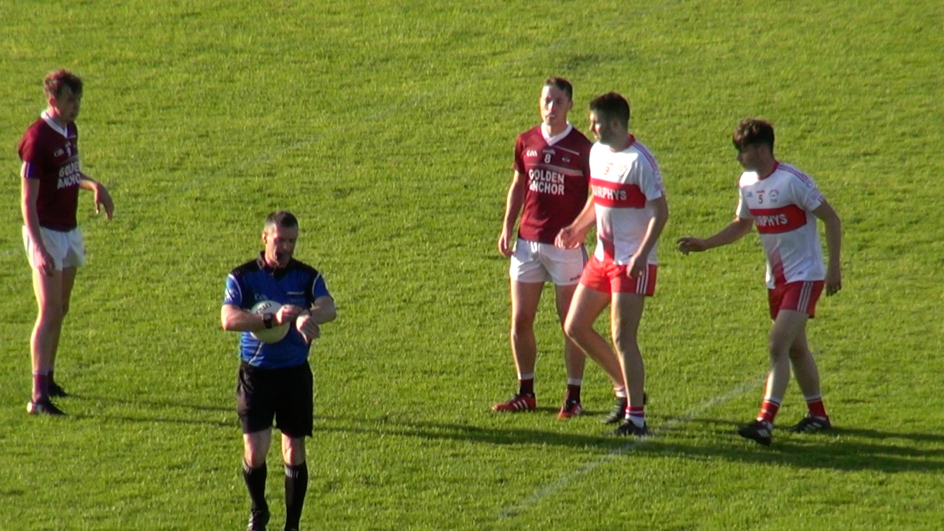 You are currently viewing Wexford GAA Release Details of New Championship Format