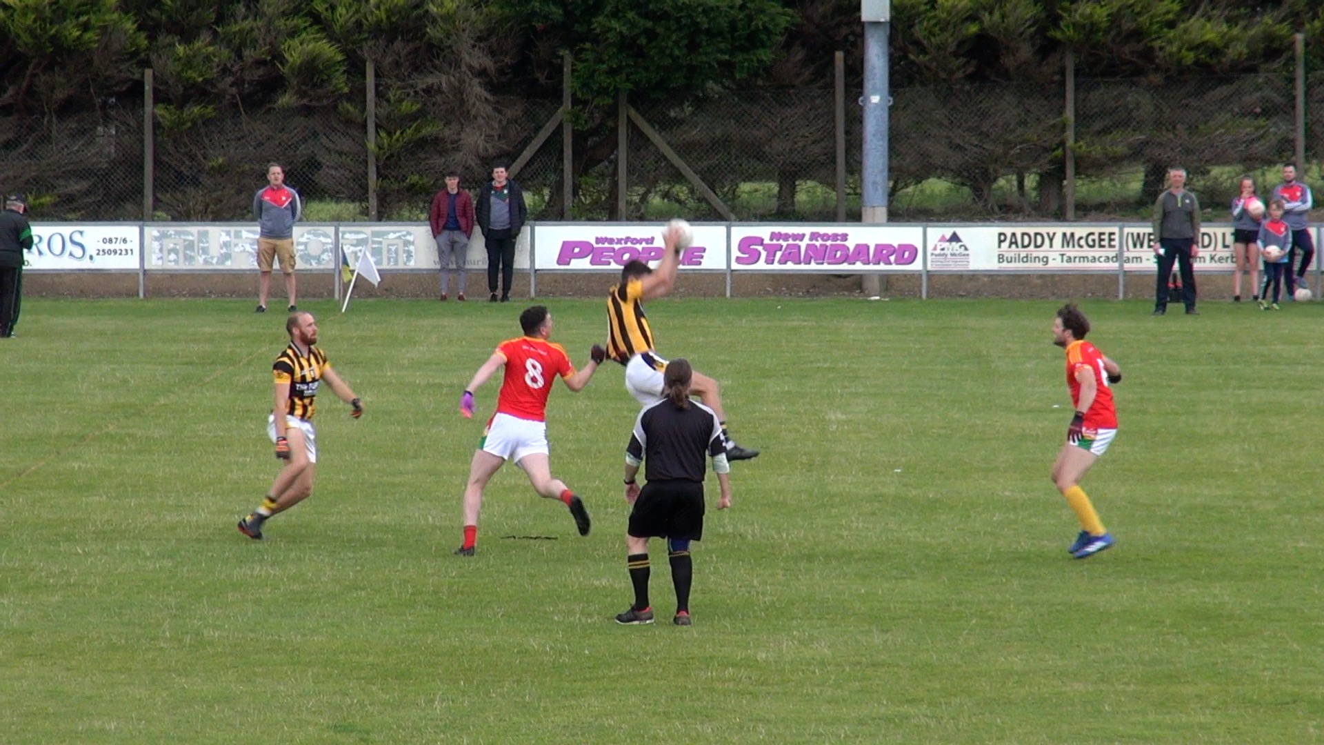 Read more about the article Highlights – Shelmaliers vs Starlights