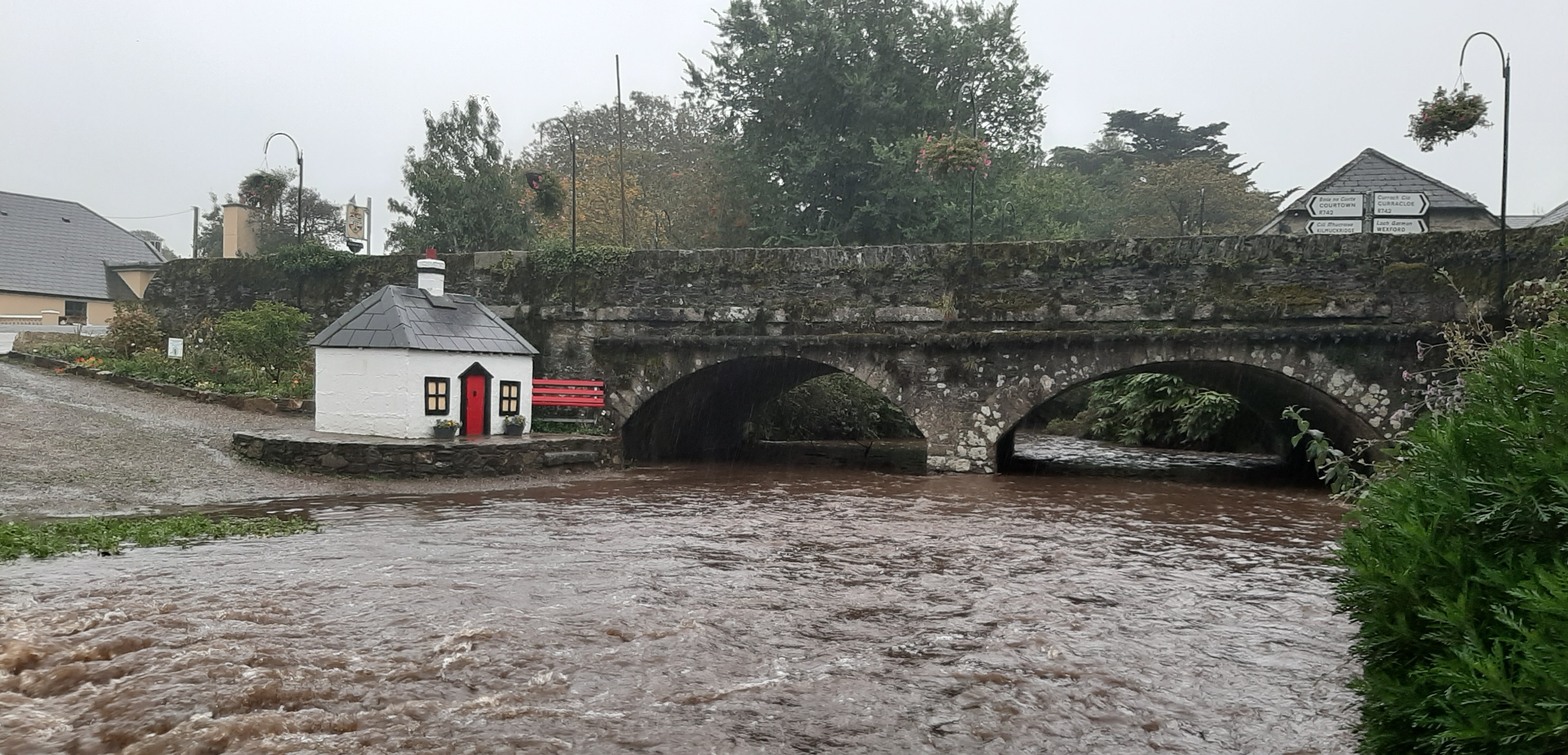 Read more about the article Dancing in the rain as Blackwater celebrates