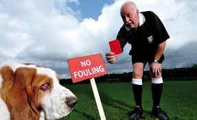 Read more about the article ‘Red Card’ for dog fouling coming to Enniscorthy