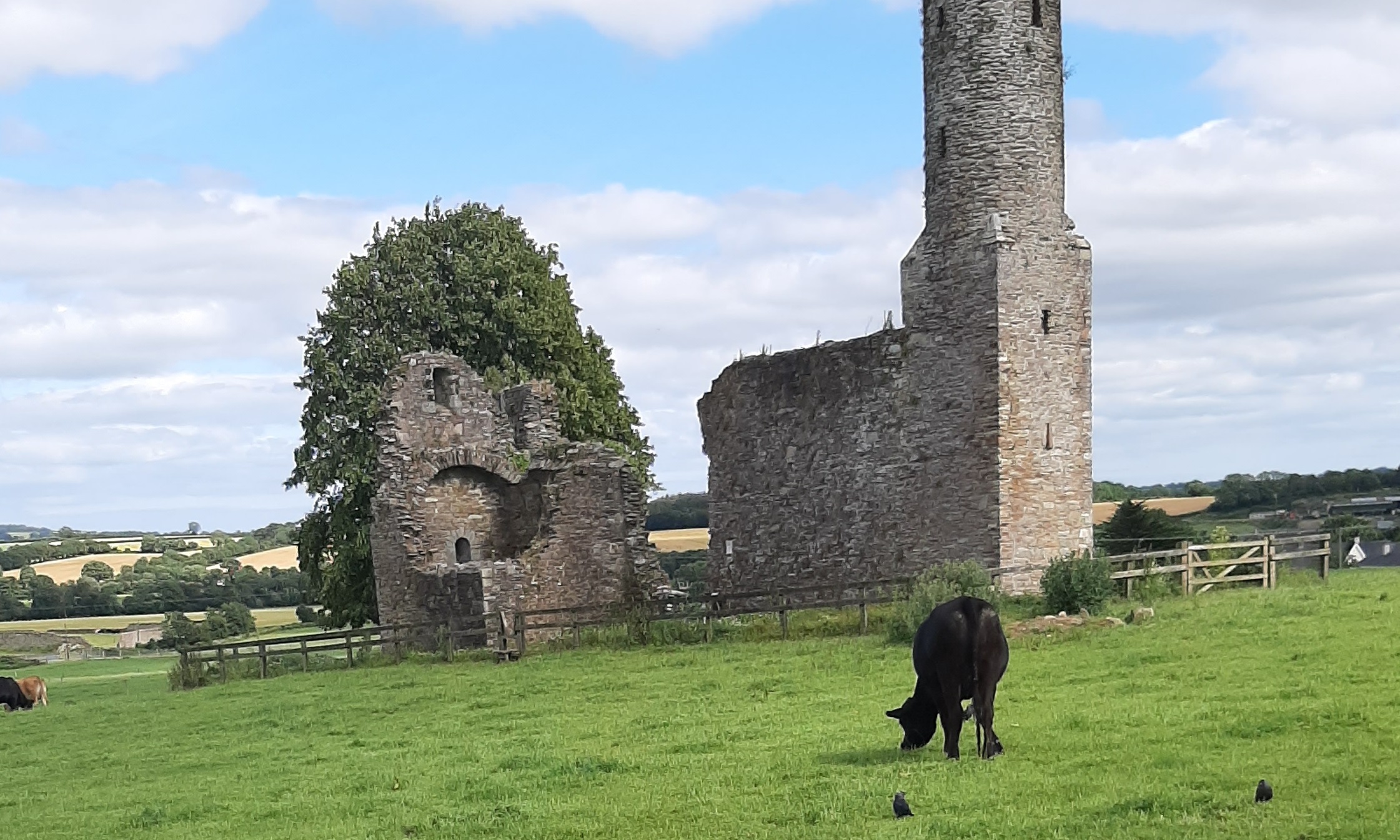 Read more about the article Public views on issues impacting on rural Ireland