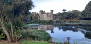 Read more about the article Great buzz at first Johnstown Castle Festival of Honey