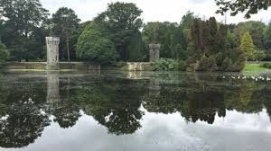 Read more about the article Deadline for beef measures extended by a week