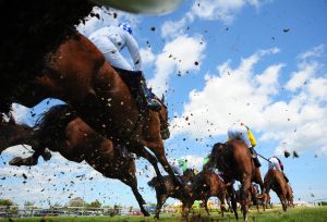 Read more about the article Wexford is ‘centre of excellence’ for racing industry