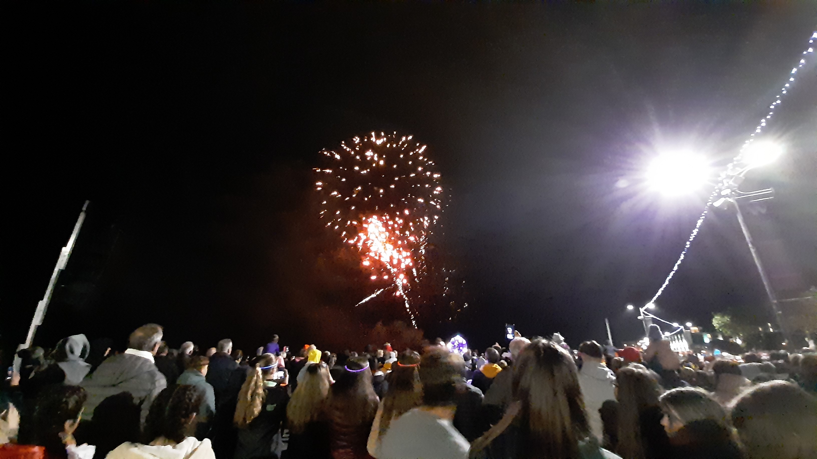 Read more about the article Wexford town bursts into festival celebration